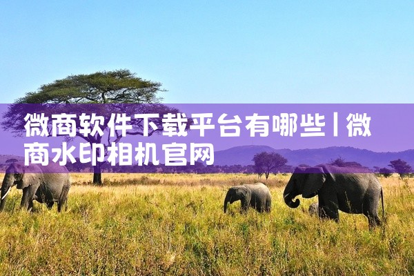 微商软件下载平台有哪些
