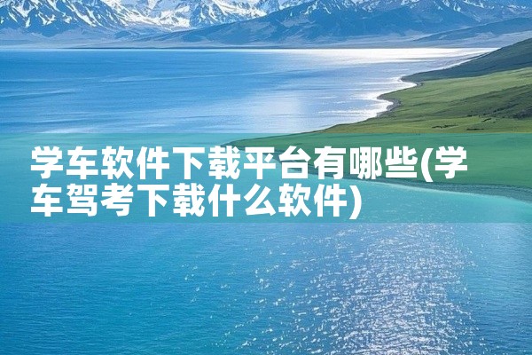 学车软件下载平台有哪些