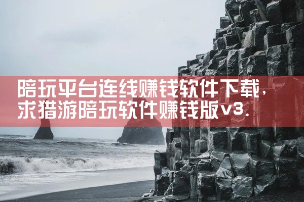 陪玩平台连线赚钱软件下载