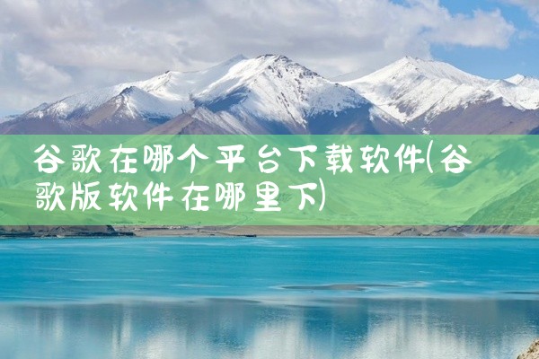 谷歌在哪个平台下载软件