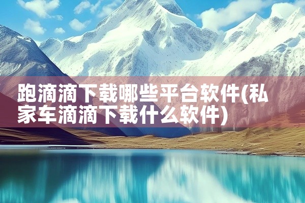 跑滴滴下载哪些平台软件