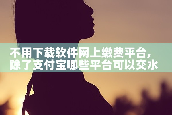 不用下载软件网上缴费平台