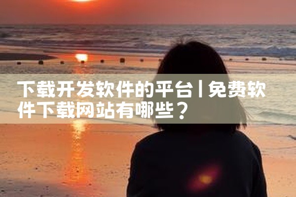 下载开发软件的平台