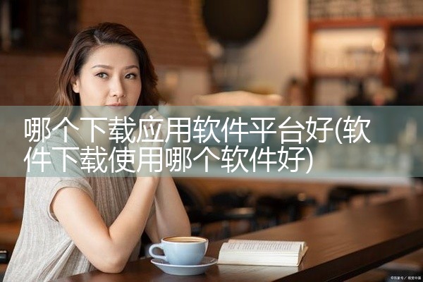 哪个下载应用软件平台好