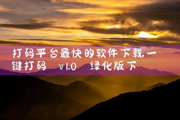 打码平台最快的软件下载